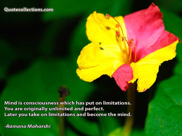 Ramana Maharshi Quotes3